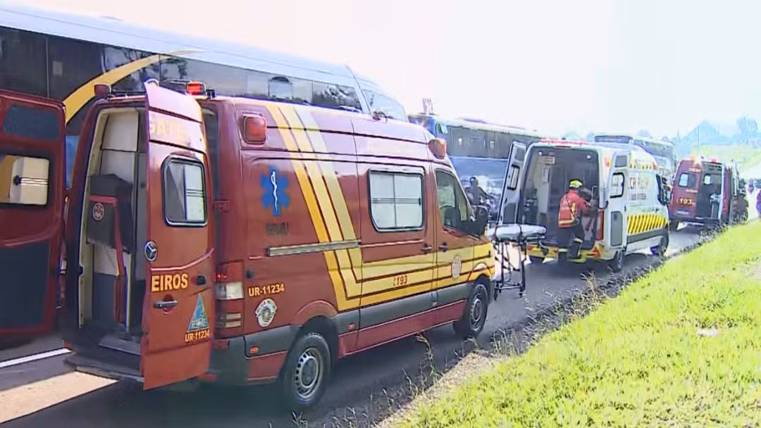 Carro com 250 kg de maconha se envolve em acidente na Dutra, em Caçapava; motorista fugiu