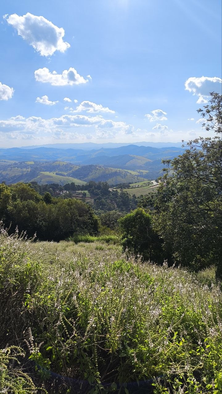 Clima voltou a ficar mais ameno em Campos Novos