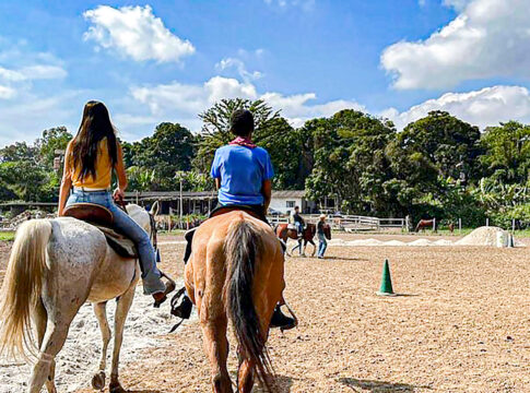 Guará tem nova empresa para retomada de equoterapia