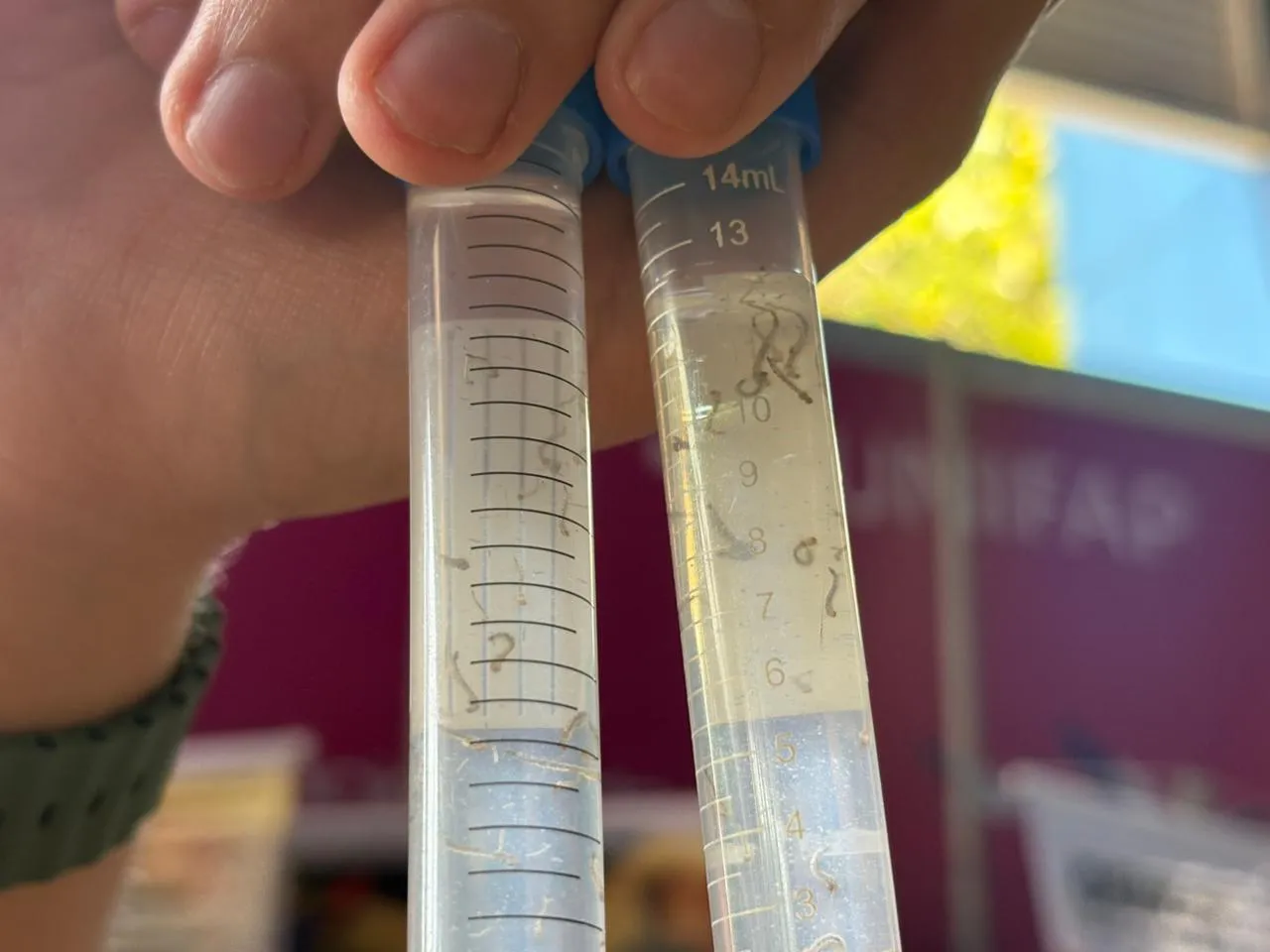 Índice de infestação da dengue cai em São José dos Campos, mas cidade segue em alerta