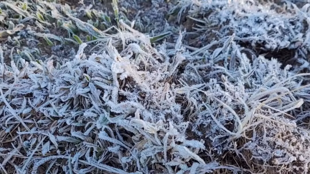 Inmet emite alertas de geada para cidades do Vale do Paraíba e região de Bragança Paulista