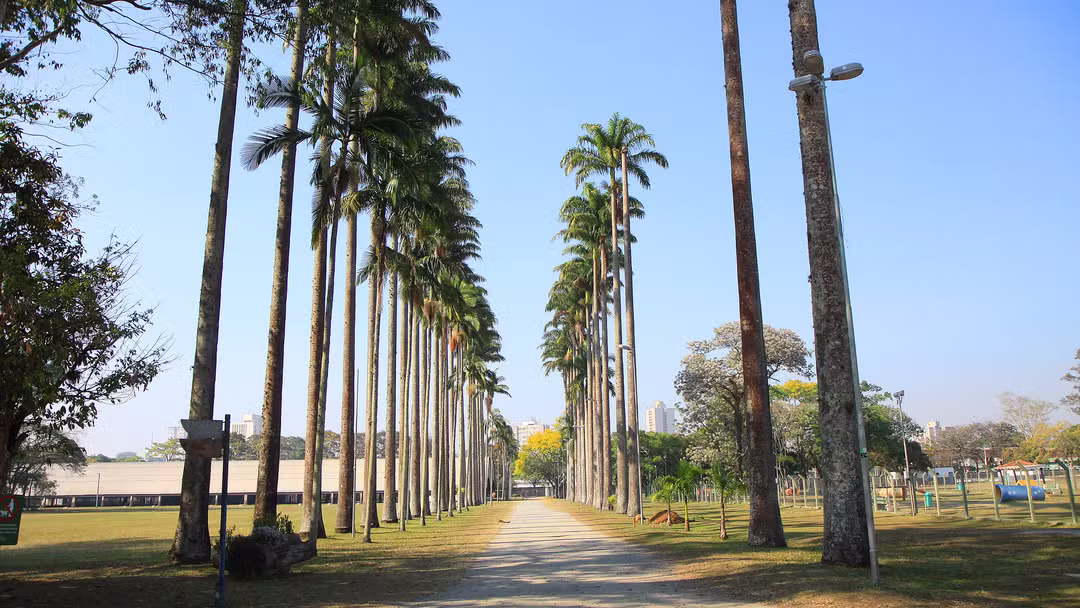 Semana começa com sol e calor no Vale e Litoral Norte; mudança no tempo chega a partir de quarta-feira