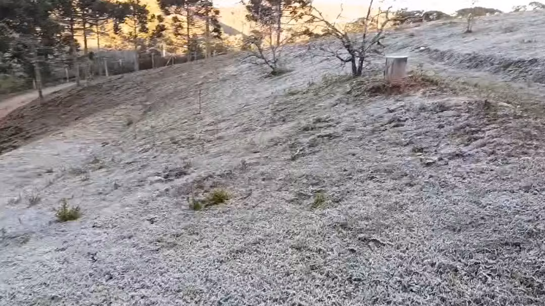 Vale do Paraíba em alerta para baixa umidade do ar e Serra da Mantiqueira para geada