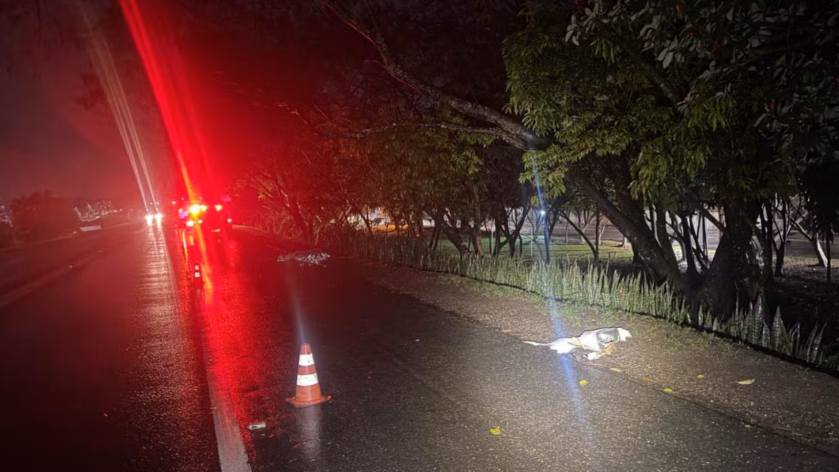 Homem morre após ser atropelado por ônibus na BR-459, em Lorena