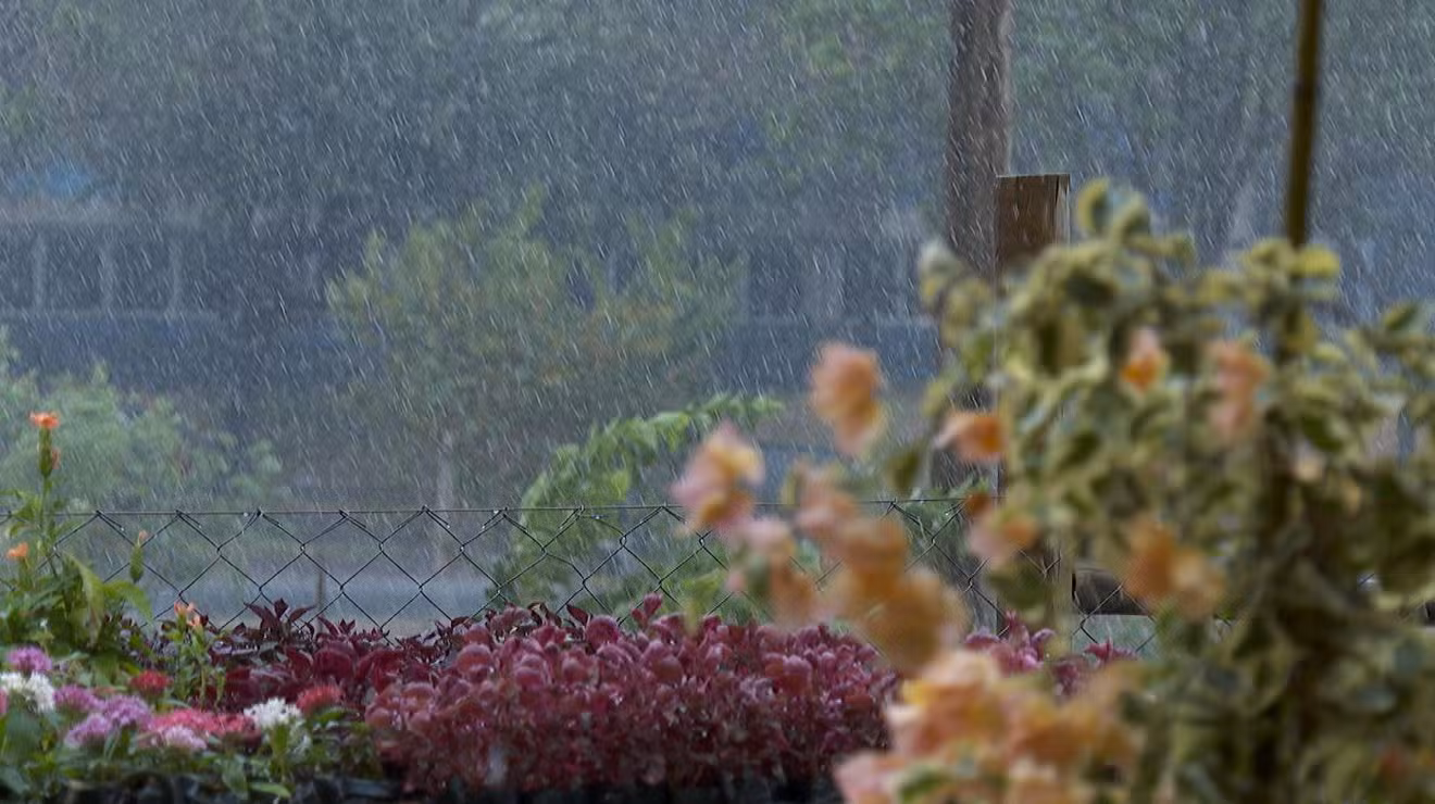 Setembro deve ter mais chuva e temperaturas amenas no Vale do Paraíba