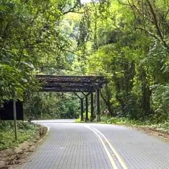 Rodovia Paraty-Cunha terá pare e siga na serra neste feriado